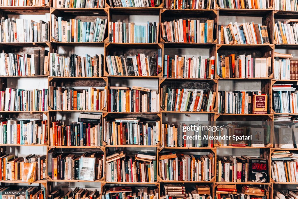 Books on the shelves in a bookstore