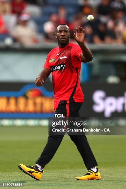 Andre Russell of the Renegades looks on during the Men's Big Bash League match between the Melbourne Renegades and the Brisbane Heat at GMHBA Stadium...