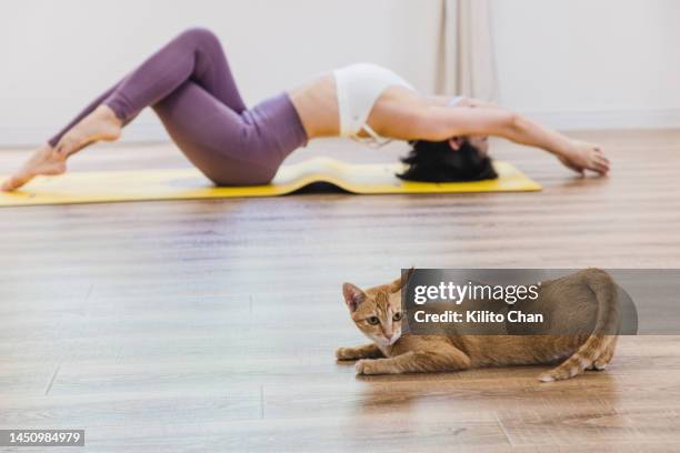 21 Yoga Pants Funny Photos and Premium High Res Pictures - Getty Images 21 Yoga Pants Funny Photos and Premium High Res Pictures - Getty Images