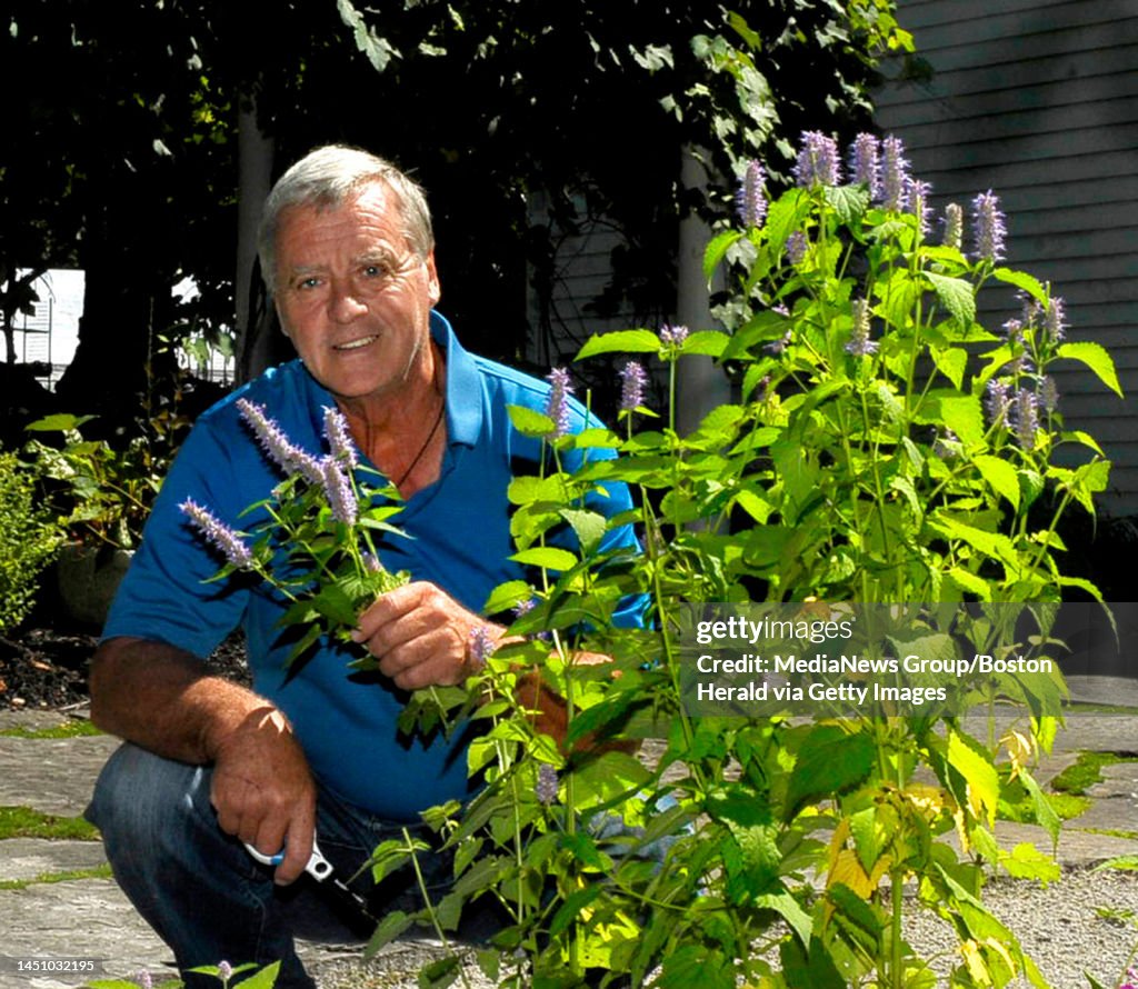 David Rooks Gilson . David Gilson runs a farm specializing in herbs at Gilson Farm/Herb ...