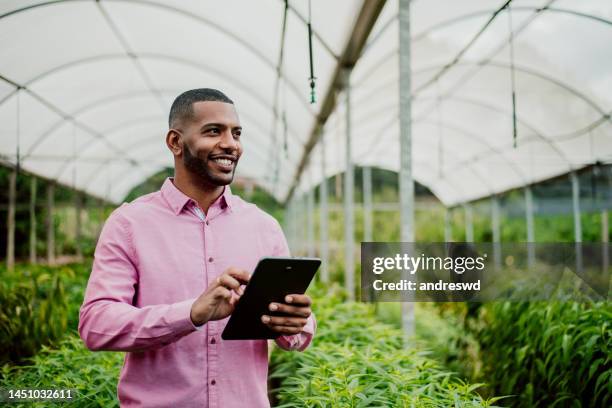 countryside man using digital tablet - agronomist stock pictures, royalty-free photos & images