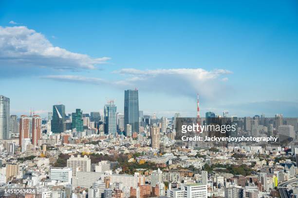 aerial view of tokyo skyline - 都市　日本 ストックフォトと画像