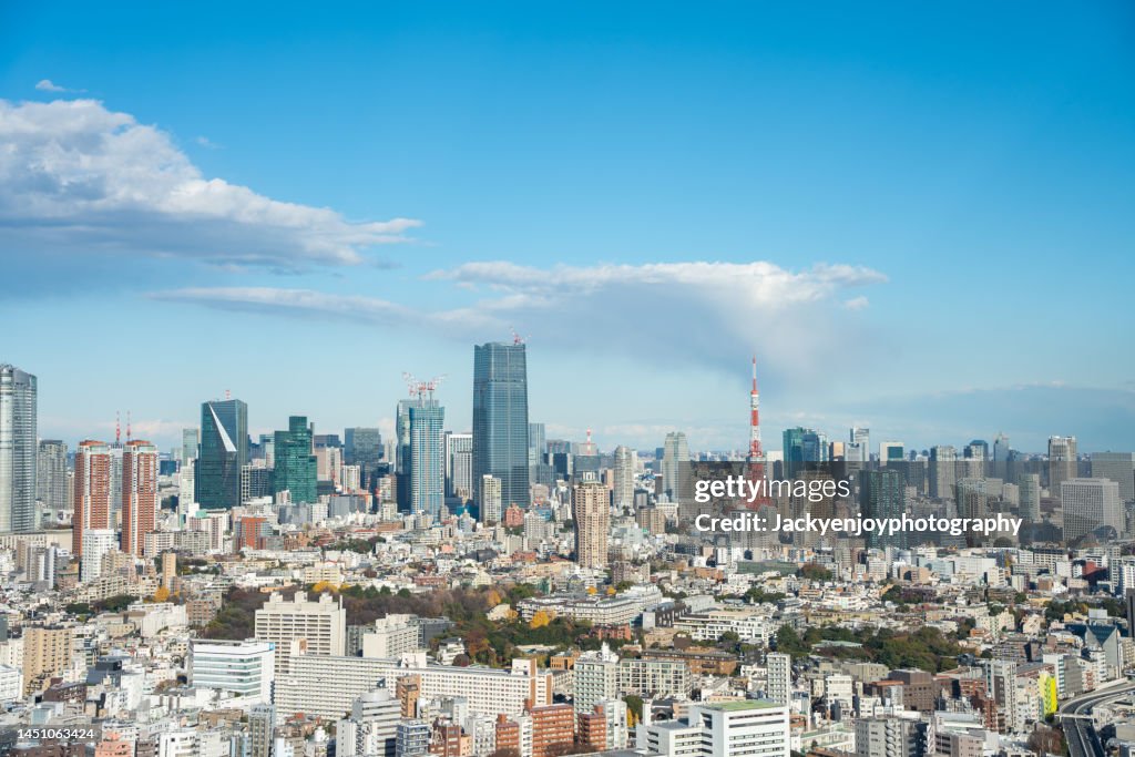 Aerial view of Tokyo skyline