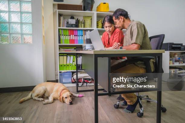 asian couple working with laptop computer and digital tablet while their dog lying down on the ground at home office, people lifestyle technology and working at home - 40's rumpled business man stockfoto's en -beelden