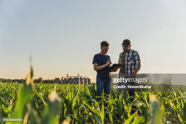 male farmer and agronomist using digital tablet while standing in corn field against sky - boerderij stockfoto's en -beelden