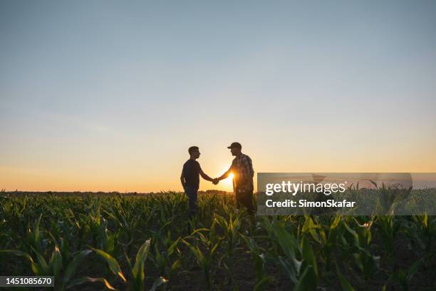 un agriculteur et un agronome se serrent la main dans un champ de maïs - handshake photos et images de collection