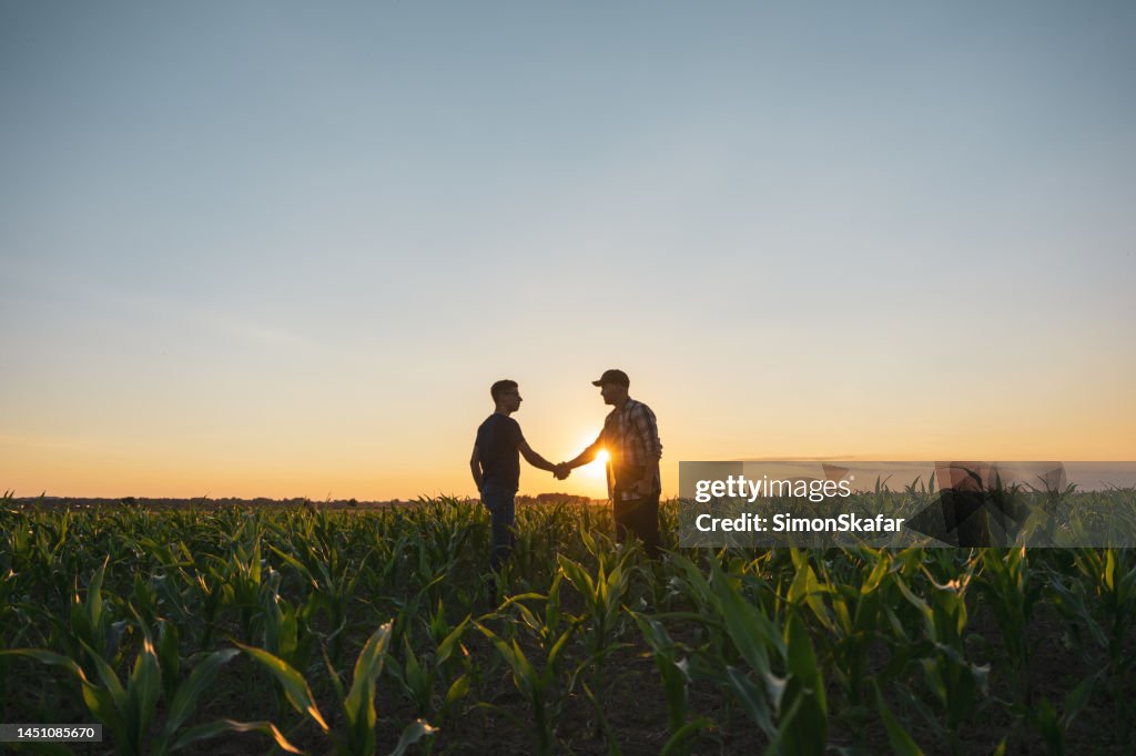 Male farmer and agronomist shaking hands in corn field