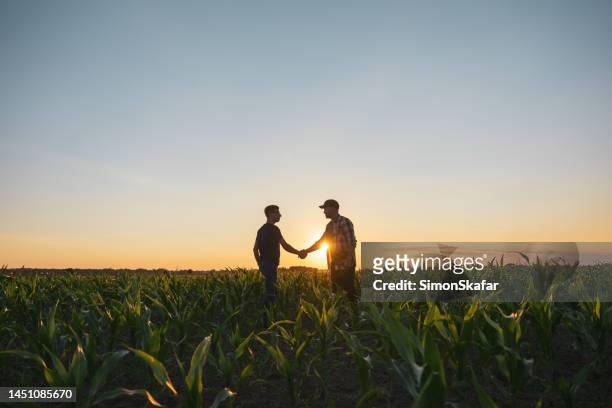 male farmer and agronomist shaking hands in corn field - cooperation nature stock pictures, royalty-free photos & images