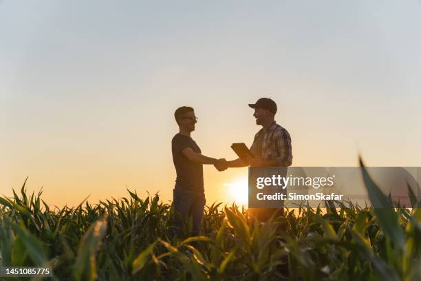 male farmer and agronomist shaking hands in corn field - partnership handshake stock pictures, royalty-free photos & images