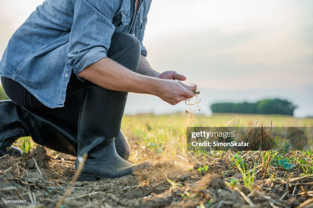 Male farmer checking soil at agricultural field against sky