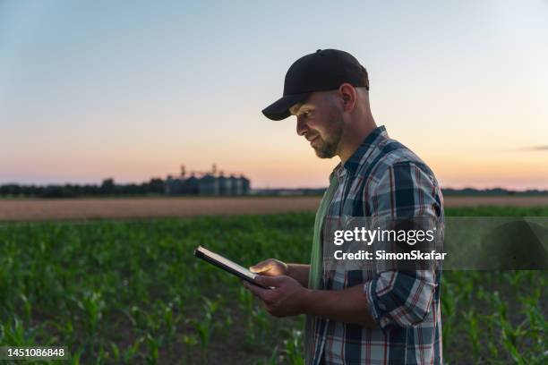 agricoltore maschio che utilizza la tavoletta digitale nel campo di mais - ipad glow foto e immagini stock