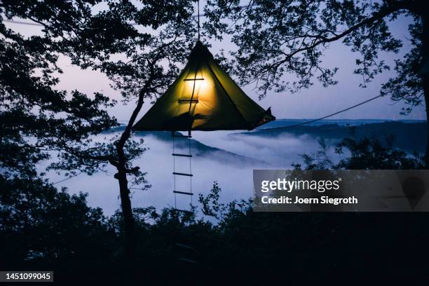 a tent hangs in the tree - night picnic stock pictures, royalty-free photos & images