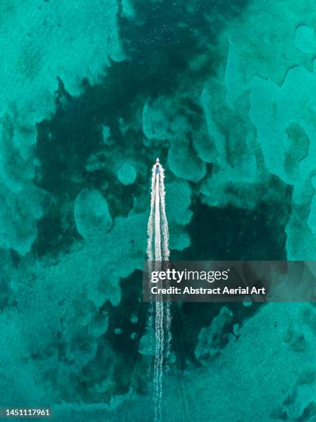 drone image looking down on a speedboat crossing an ocean lagoon, new providence, bahamas - rushes plant stock pictures, royalty-free photos & images