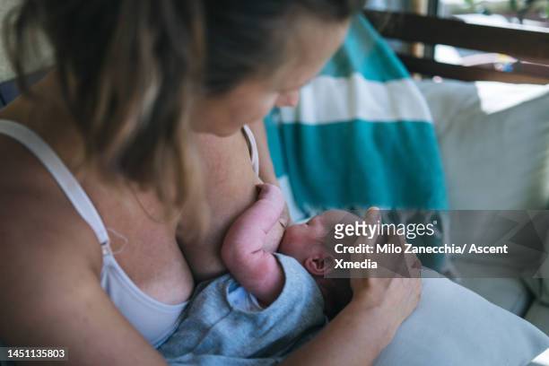 mother breastfeeds newborn baby, at home - girls in bras fotos stock-fotos und bilder