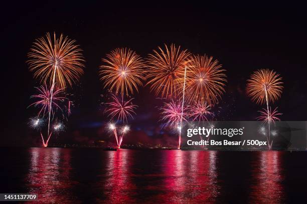 low angle view of firework display over river against sky at night,california,united states,usa - rivier bos stock pictures, royalty-free photos & images