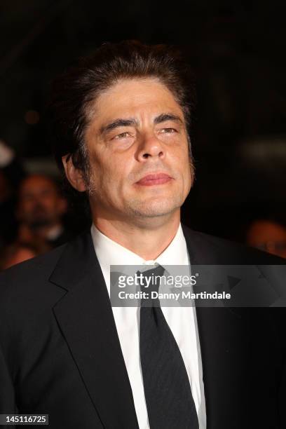 Benicio Del Toro attends the "Holy Motors" Premiere during the 65th Annual Cannes Film Festival at Palais des Festivals on May 23, 2012 in Cannes,...