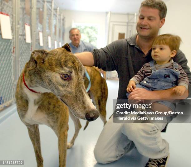 276 Us News Greyhounds Stock Photos High Res Pictures And Images 276-us-news-greyhounds-stock-photos-high-res-pictures-and-images