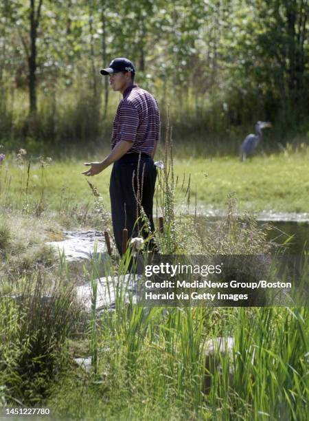 The final round in the Deutsche Bank Championship golf tournament.Tiger Woods gestures to his caddy looking for his ball in the rough on the 2nd...