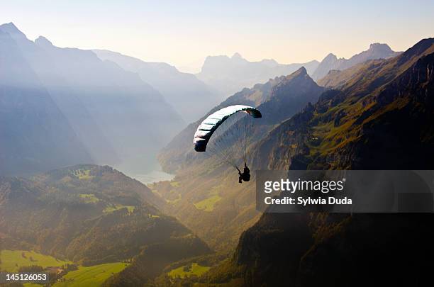 para-glider - paracadutista foto e immagini stock