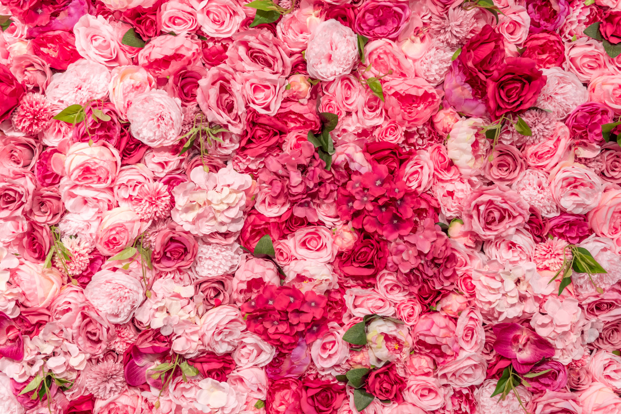 flower illusion