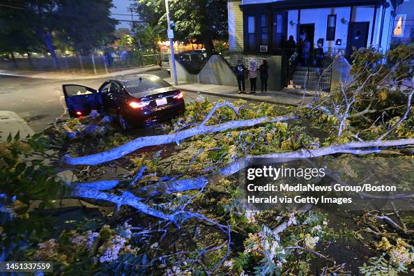 Strong Winds Topple Tree Onto Vehicle in Northeast Harris County ...