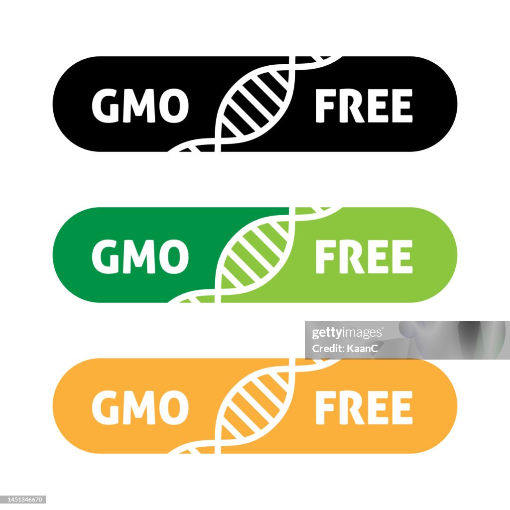 GMO Free icon logo. Non gmo food label symbol. Organic stamp design healthy food sticker vector stock illustration