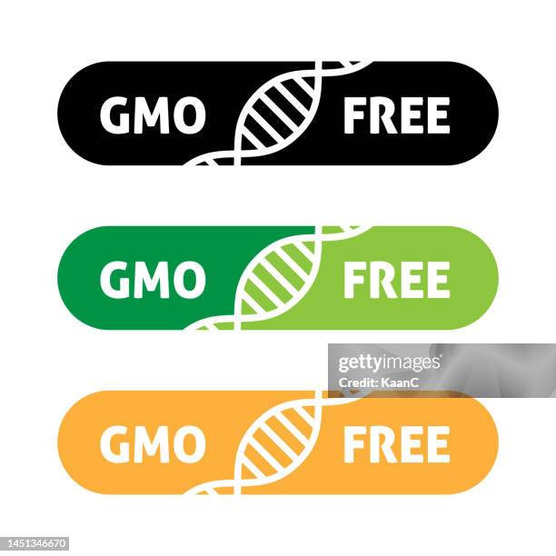 gmo free icon logo. non gmo food label symbol. organic stamp design healthy food sticker vector stock illustration - genetic modification 幅插畫檔、美工圖案、卡通及圖標