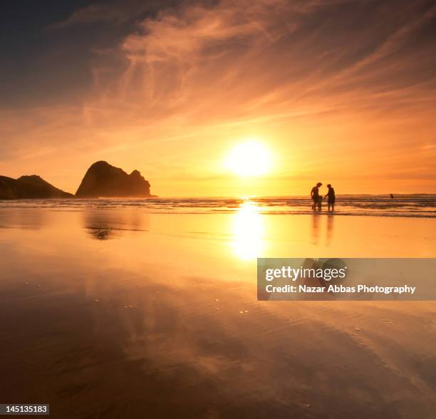 1,001 Piha Auckland Stock Photos, High-Res Pictures, and Images - Getty ...