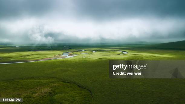 cattle, sheep and horses grazing on grassland in inner mongolia, china - 草原 - fotografias e filmes do acervo