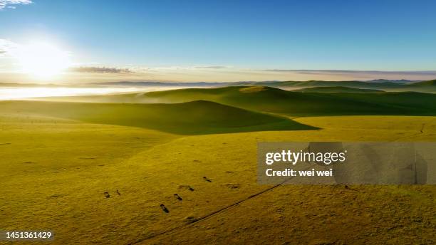 cattle, sheep and horses grazing on grassland in inner mongolia, china - 草原 - fotografias e filmes do acervo