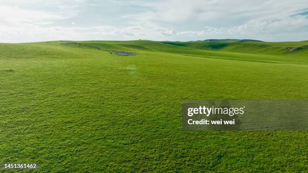 cattle, sheep and horses grazing on grassland in inner mongolia, china - 草原 - fotografias e filmes do acervo