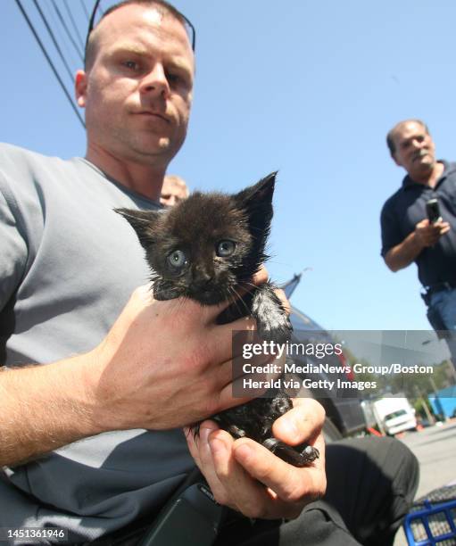 Brian Being Rescued 110 Brian Drain Photos & High Res Pictures - Getty Images