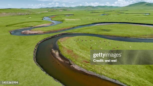 cattle, sheep and horses grazing on grassland in inner mongolia, china - 草原 - fotografias e filmes do acervo