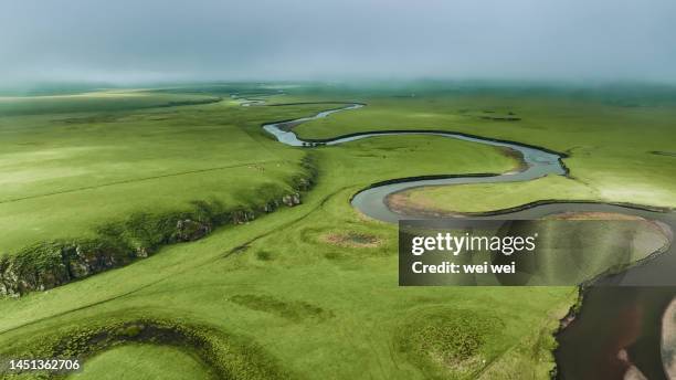 cattle, sheep and horses grazing on grassland in inner mongolia, china - 草原 - fotografias e filmes do acervo