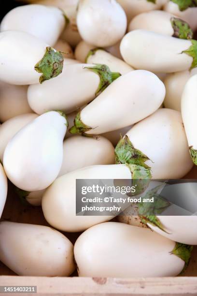 white aubergine, local food market - white eggplant stock pictures, royalty-free photos & images