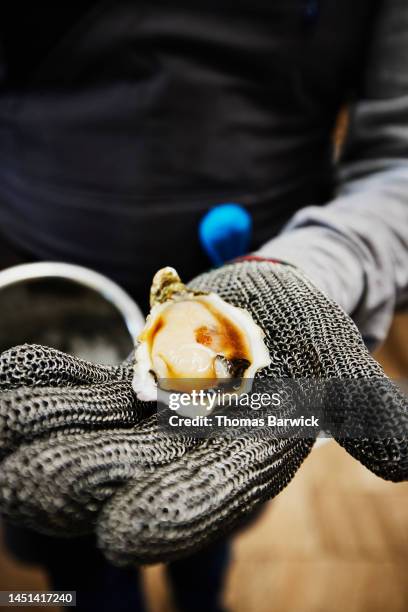 close up shot of oyster server holding freshly shucked oyster - mollusk fotografías e imágenes de stock