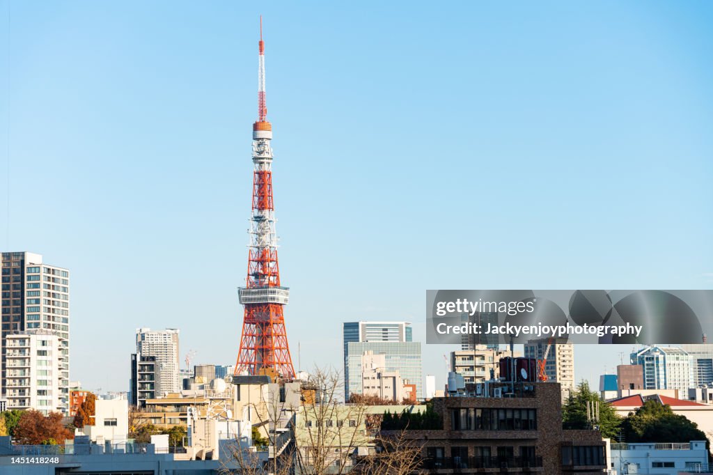 View over Tokyo with Tokyo tower