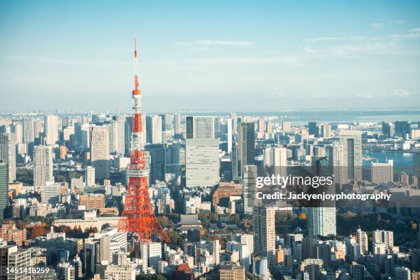 view over tokyo with tokyo tower - 東京湾 ストックフォトと画像
