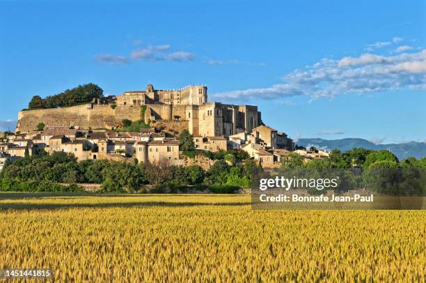 the big wheat field in front of grignan - drome stock pictures, royalty-free photos & images