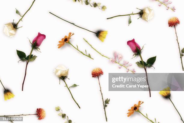 fresh flowers pattern in white - table font view stock pictures, royalty-free photos & images