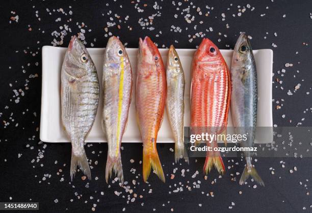 high angle view of various fresh fish and seafood on plate over black background - mullet fish stock pictures, royalty-free photos & images