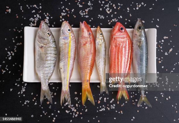 high angle view of various fresh fish and seafood on plate over black background - perciformes imagens e fotografias de stock