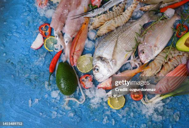 high angle view of various fresh fish and seafood - 海產 個照片及圖片檔