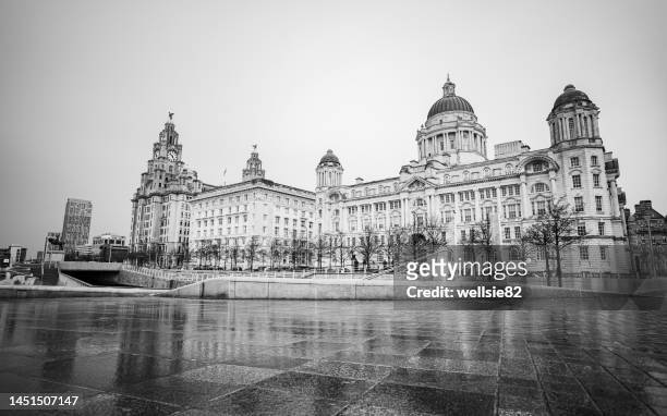 reflections of the liverpool skyline - wet bird stock pictures, royalty-free photos & images