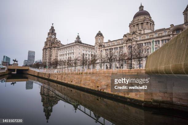 three graces reflecting in the canal - wet bird stock pictures, royalty-free photos & images