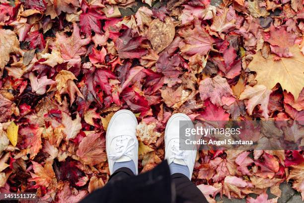 low section of man with white shoes standing on autumn leaves - parte inferior fotografías e imágenes de stock