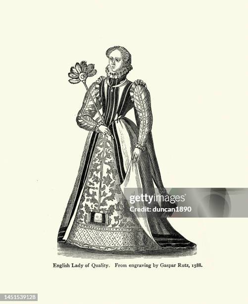 ilustraciones, imágenes clip art, dibujos animados e iconos de stock de dama inglesa de calidad, moda femenina tudor, traje de época, vestido, siglo 16 - tudor