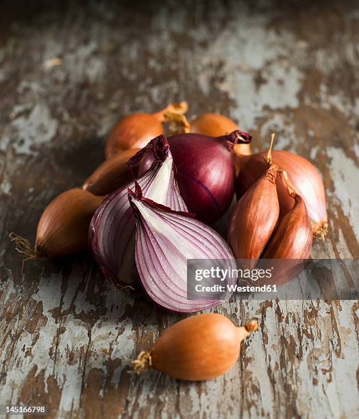 shallot on wood, close up - zierlauch stock-fotos und bilder