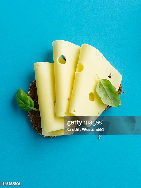 brown bread with cheese and basil leaf on blue background - loncha fotografías e imágenes de stock