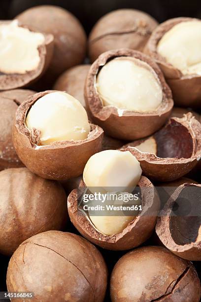 macadamia nut, close up - macadamia nut stock pictures, royalty-free photos & images